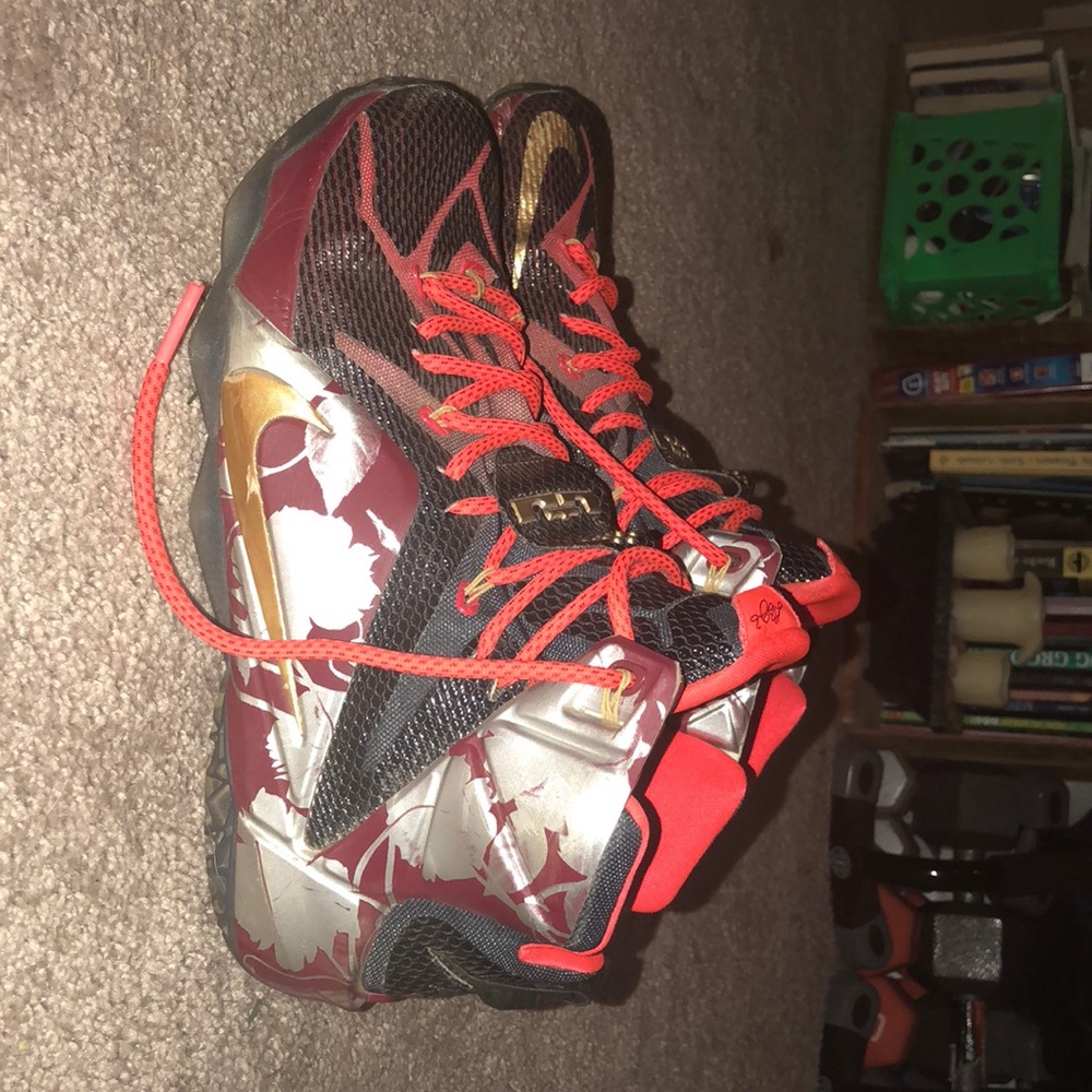 Custom Lebron 12s